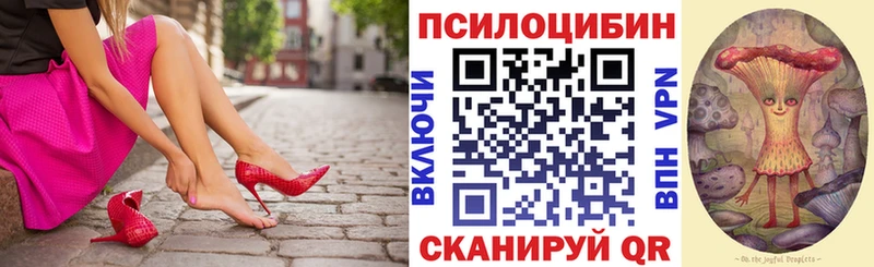 Галлюциногенные грибы ЛСД  Купить закладки  Шатура 